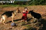 e3.JPG

1,723.05 KB 
2048 x 1360 
11/1/2006